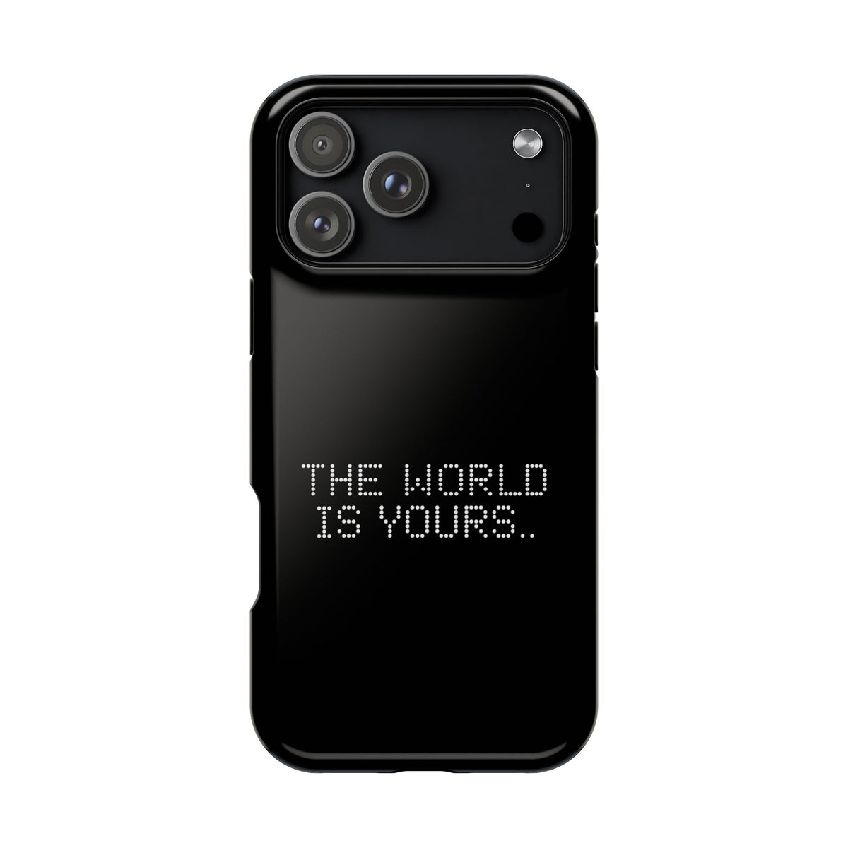The World Is Yours