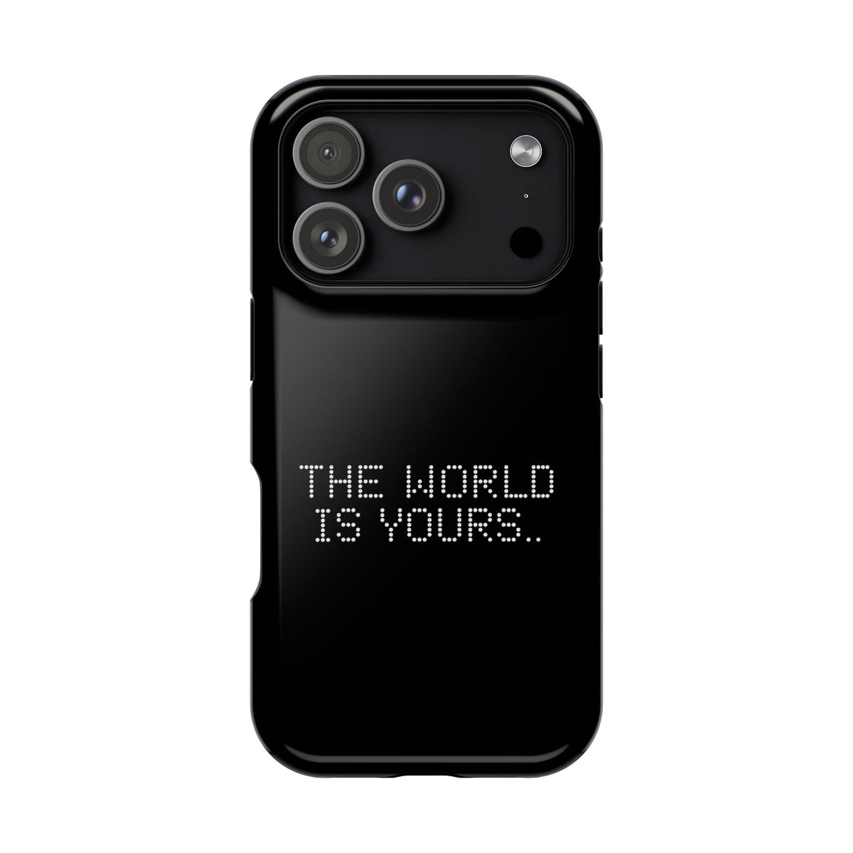 The World Is Yours