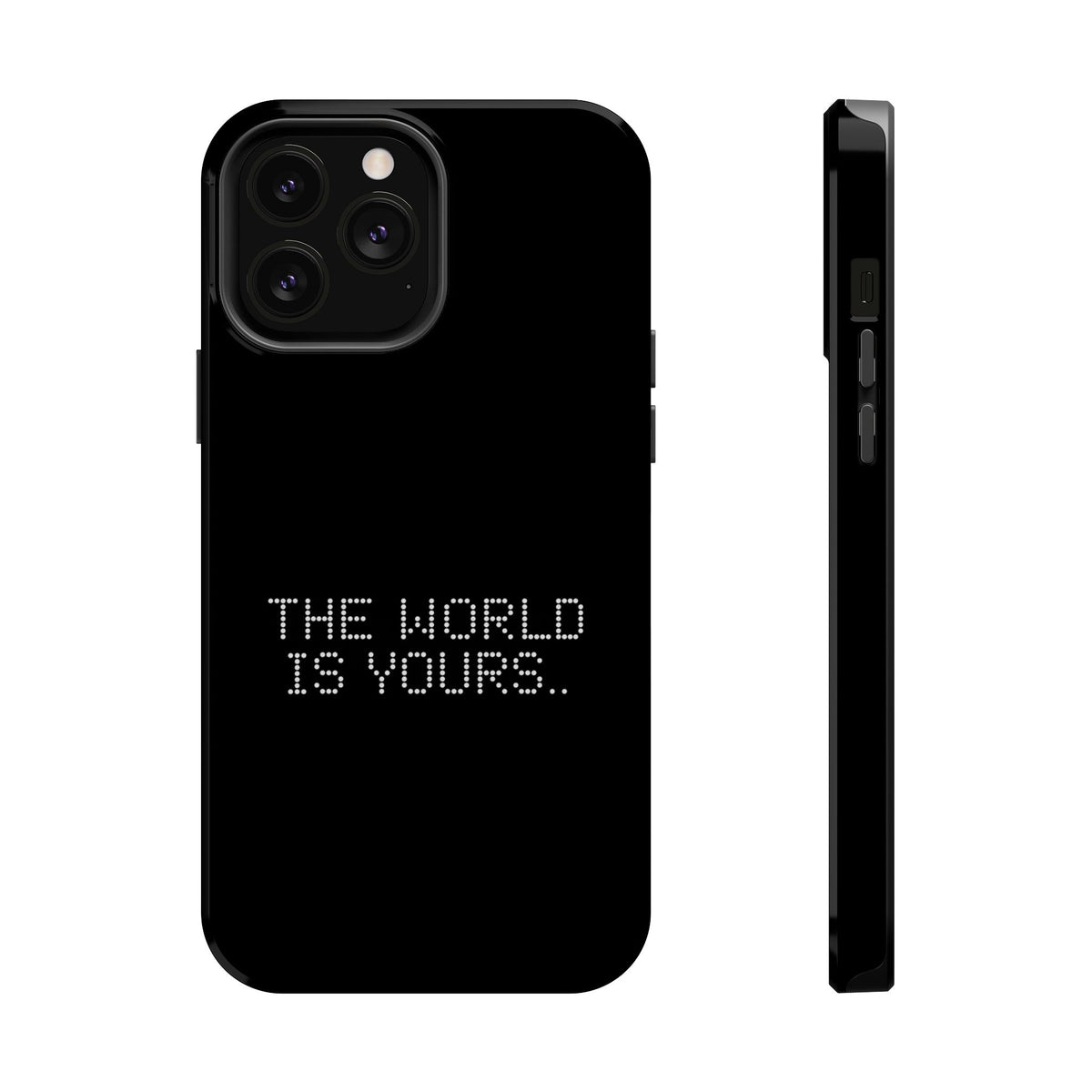 The World Is Yours