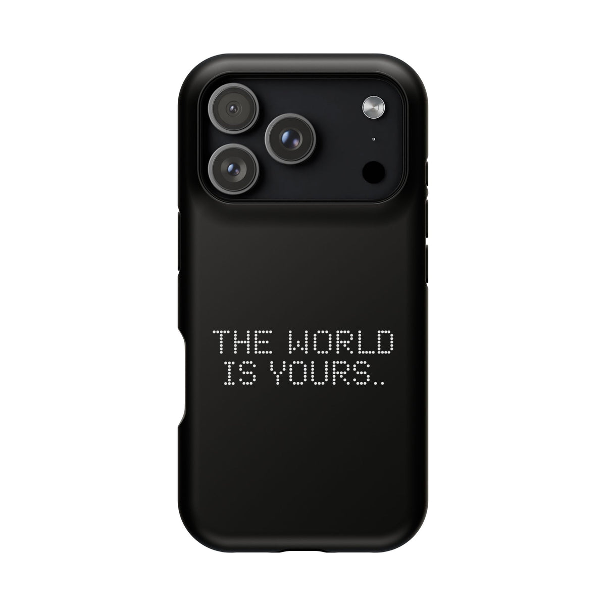 The World Is Yours