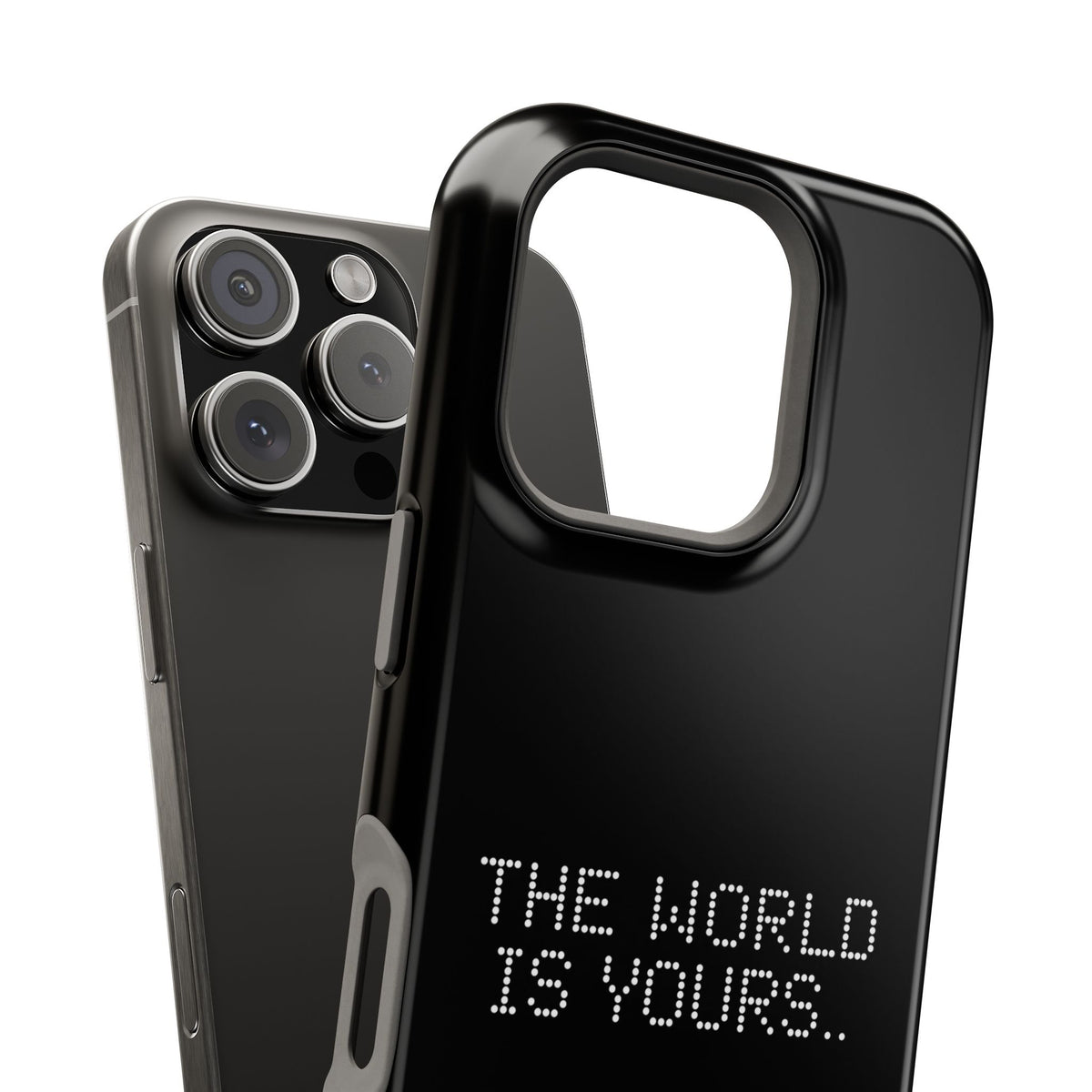 The World Is Yours