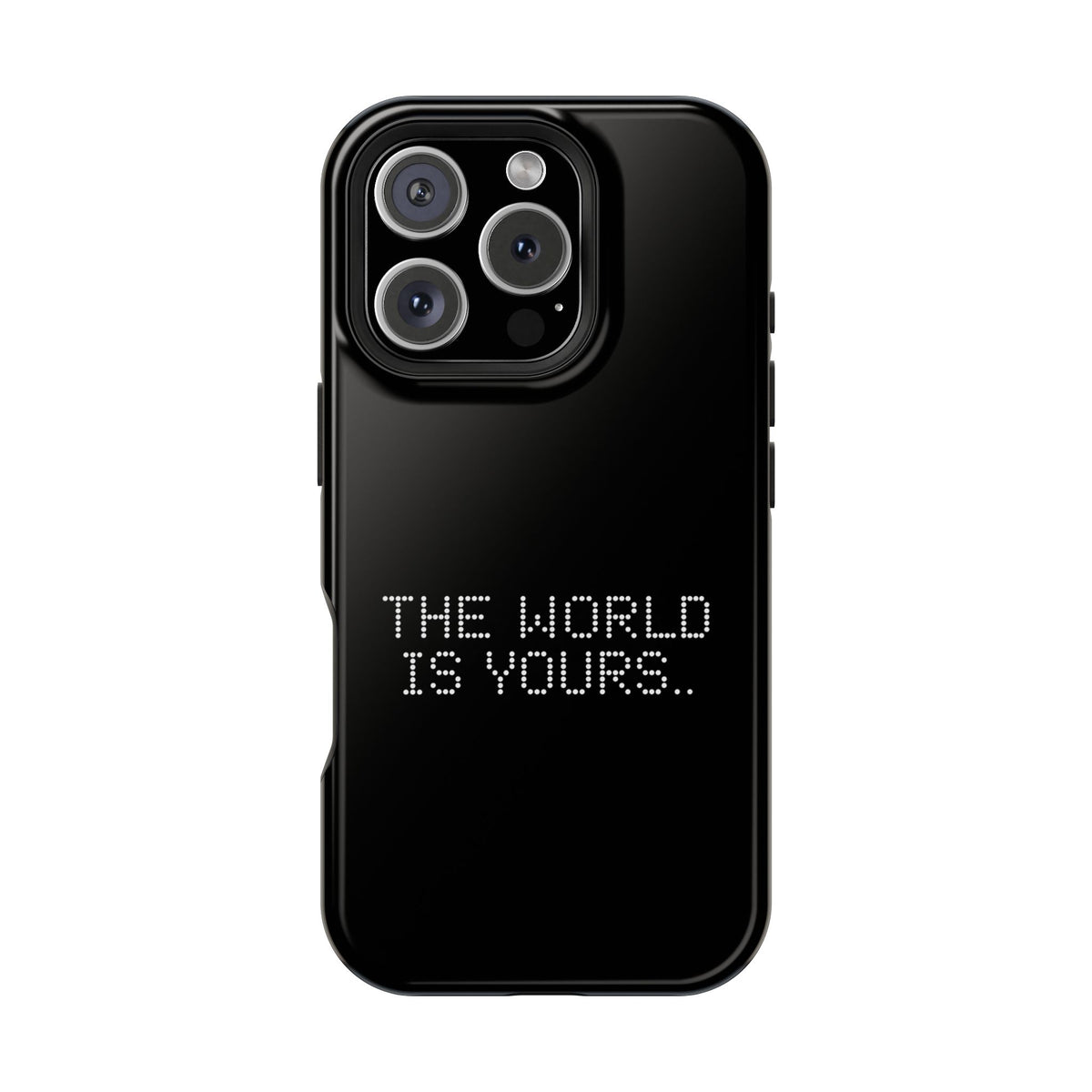 The World Is Yours