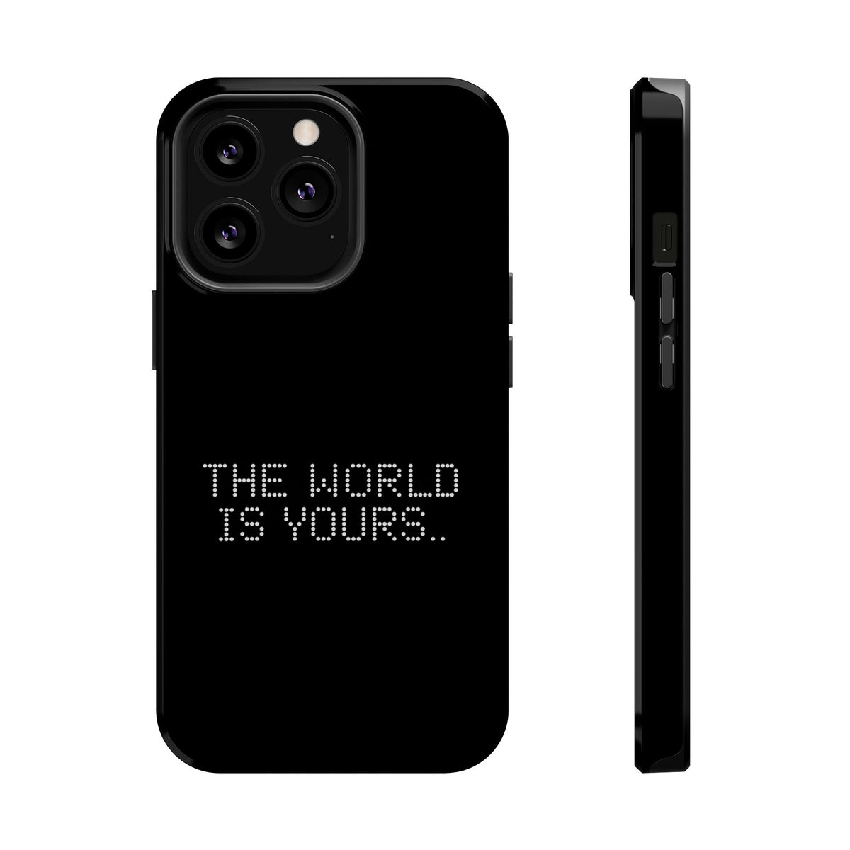 The World Is Yours